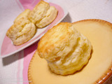�˥塼���󥰥��ɥӥ����å�
