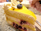 �ۥΥ�륳���ҡ�����ѥˡ�