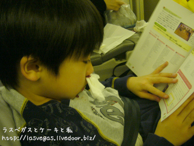 �ѥ���ޤ˷줬����