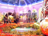 BELLAGIO�ˤ�