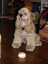 ��ǥ��ң£�2005��
