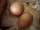 ���ޥ���2��
