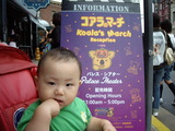 �ѥ쥹�����������Υ�����Υޡ������Ĥȥ桼���ܥ�