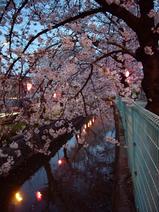 �̶�¦�褤�Υ��ᥤ�襷�Τκ����ڤ����̤�ή���֤Ӥ�20080401