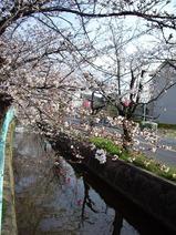 20080329�ζ̶���褤�κ����ͻ�