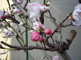 �餤�Ƥ���֤�UP