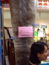 ニシキヘビの皮
