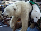 2008年度浦美術の展示品シロクマの剥製