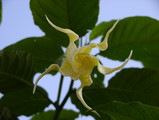 �餭�����β�