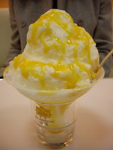 雪綿花マンゴー