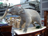 ゾウの剥製