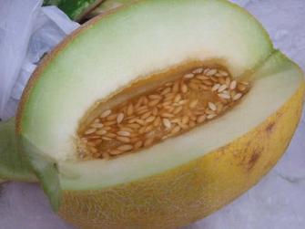 これが完璧なのです