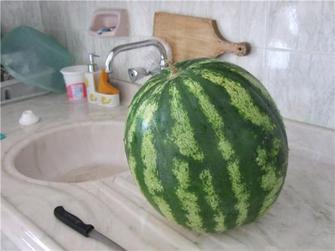 すごいでかいのです