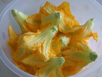 綺麗なんだけど・・・・・