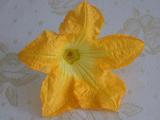 摘み立てのお花がいいのです