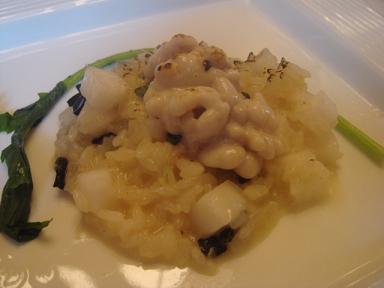 risotto-shirako