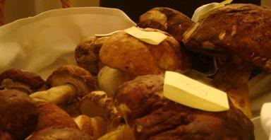 cep
