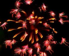 hanabi3