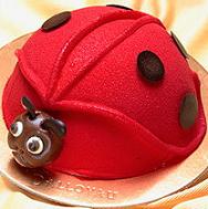 coccinelle