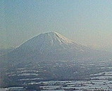 891b506c.jpg