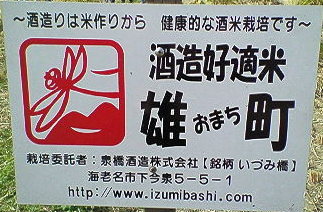 omacchi-