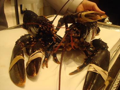 Homard blue de Bretagne