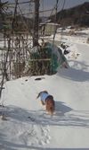201001131022000