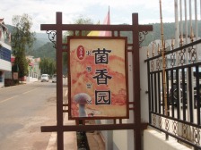 PA053441