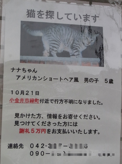 BlogPaint