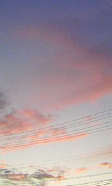 1aec0fd5.JPG
