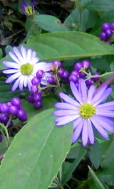 eb9855ff.JPG
