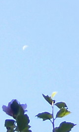 f05d67a3.JPG