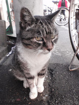 40d6650f.JPG