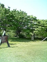 30739ec1.jpg