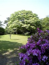 44ca09d9.jpg