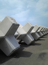 55c878da.jpg