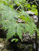 9e120d03.jpg