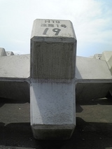 e81f11b4.jpg