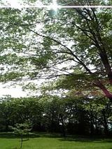 f3583b5d.jpg