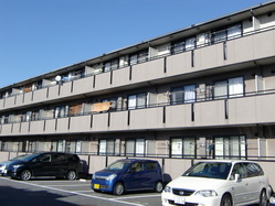 CIMG1224
