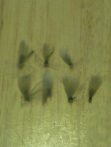 447e21d8.jpg