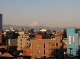 IMG_0029