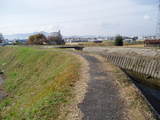 散歩道1