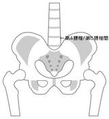 腰椎