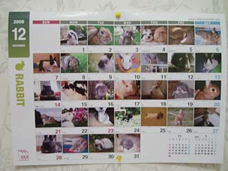 365����������