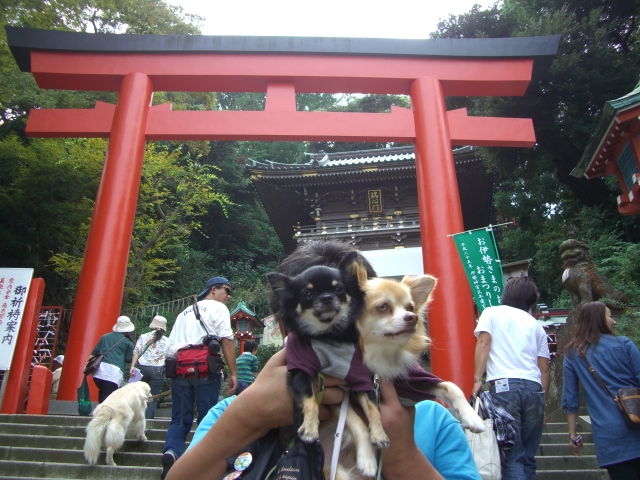 2008 10/6-3