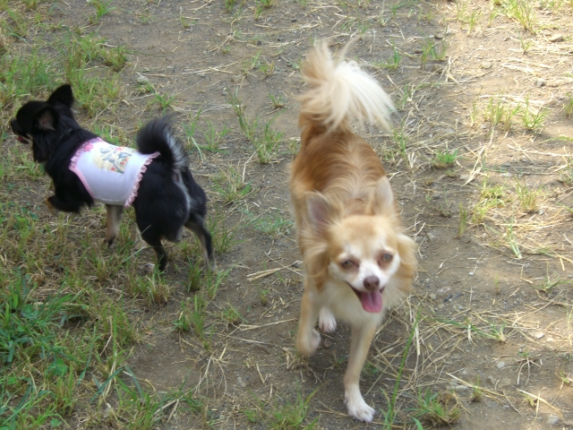 2008 9/7-1