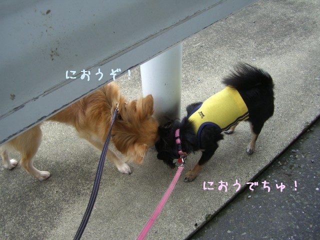 2008 8/27-1