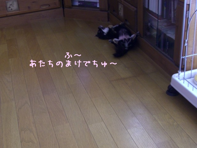 2008 9/5-3