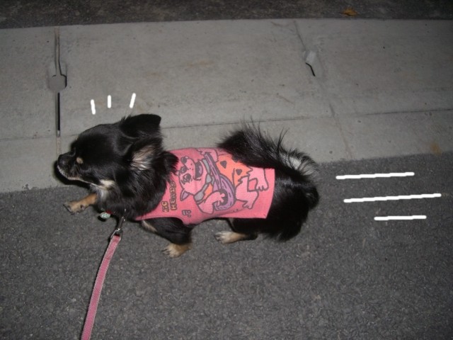 2008　10/12-1